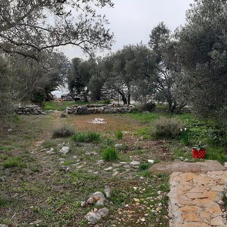 Robinzon House Pia Villa Banj Dış mekan fotoğraf