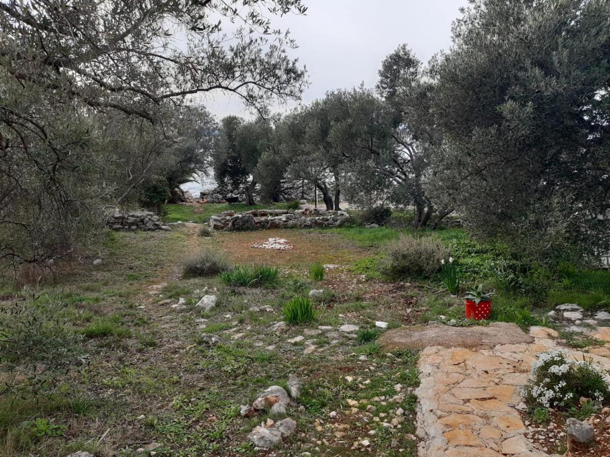 Robinzon House Pia Villa Banj Dış mekan fotoğraf