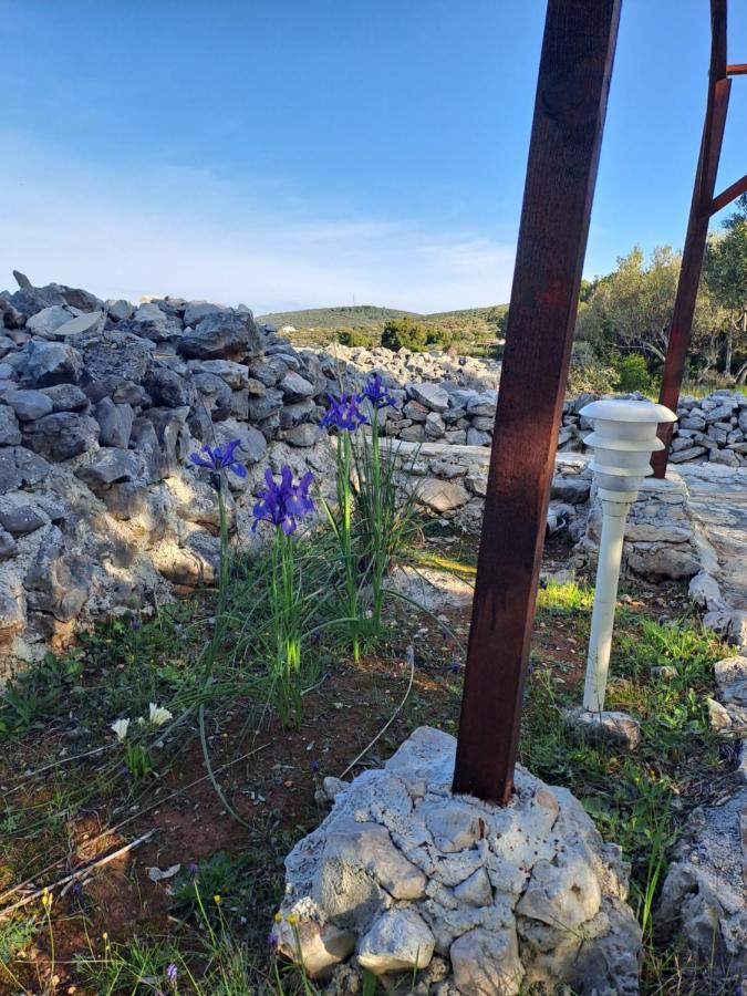 Robinzon House Pia Villa Banj Dış mekan fotoğraf